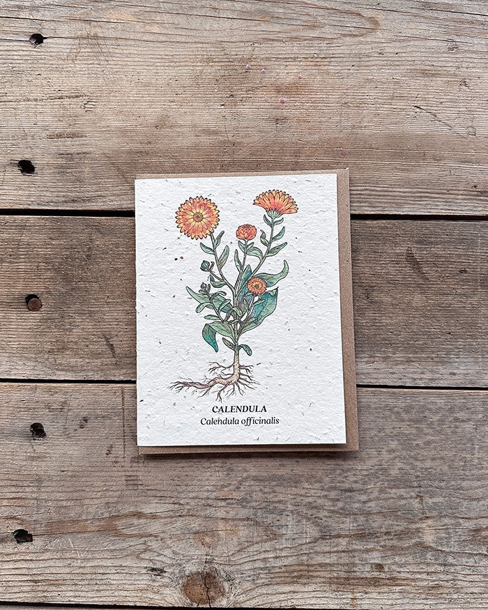 Wildflower Seed Cards