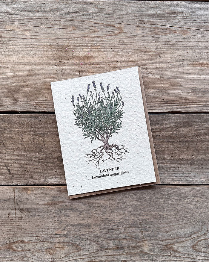 Wildflower Seed Cards