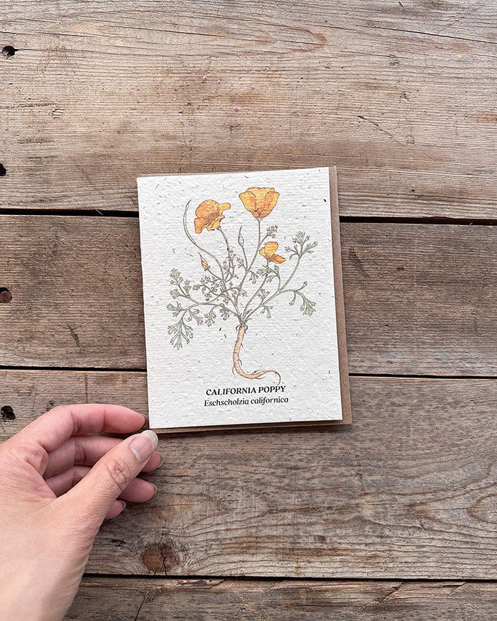 Wildflower Seed Cards