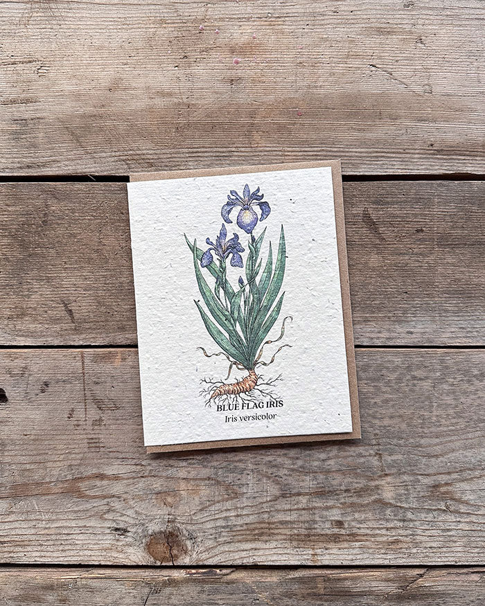 Wildflower Seed Cards