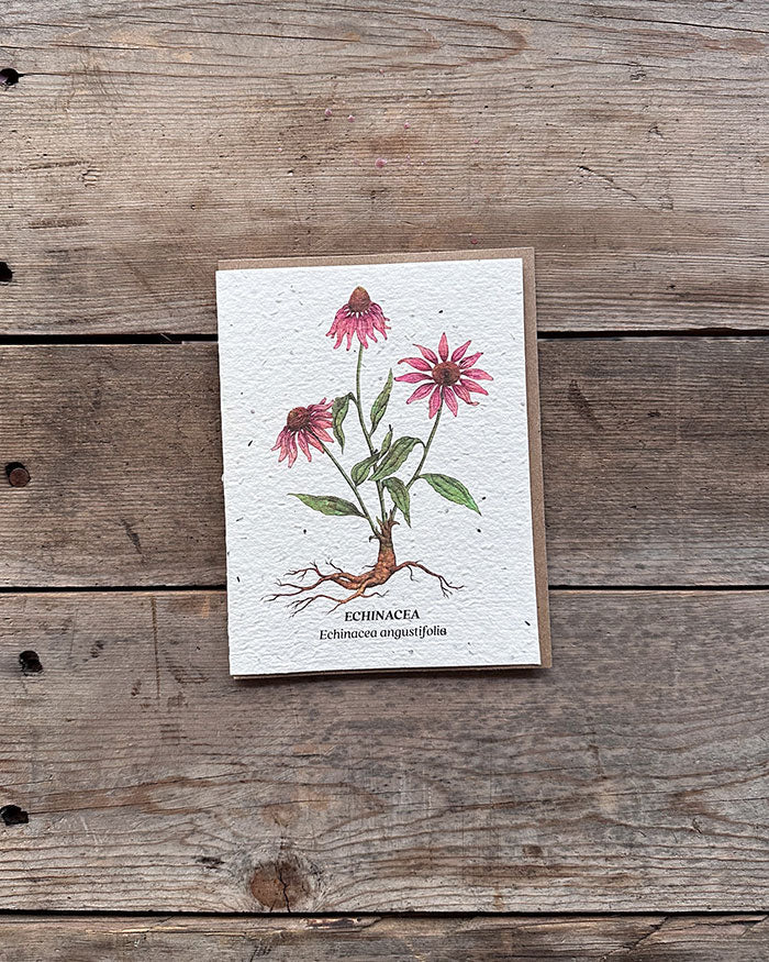 Wildflower Seed Cards