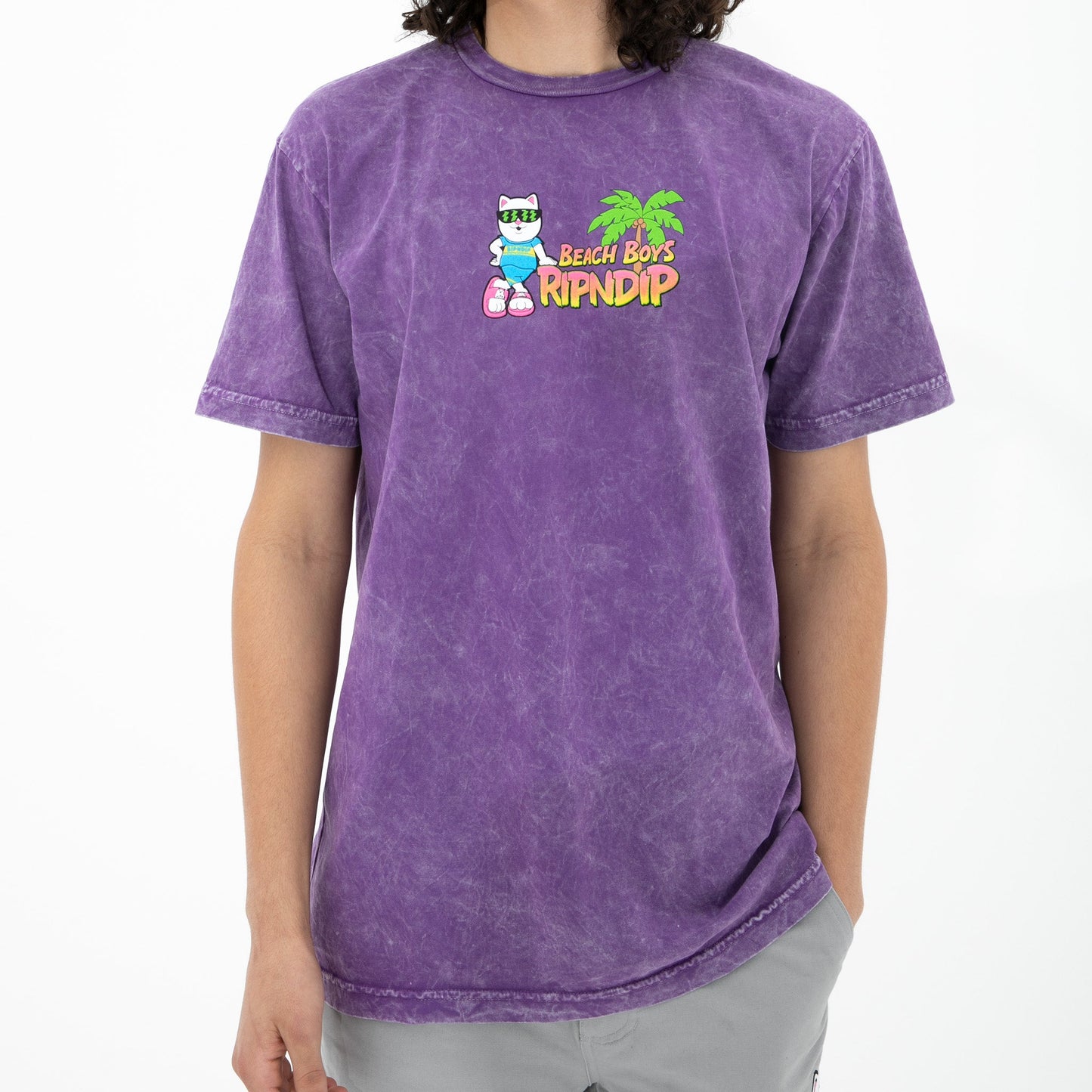 Beach Boys Tee (Purple Mineral Wash)