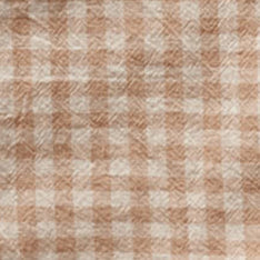 The Jack in Baked Clay Check