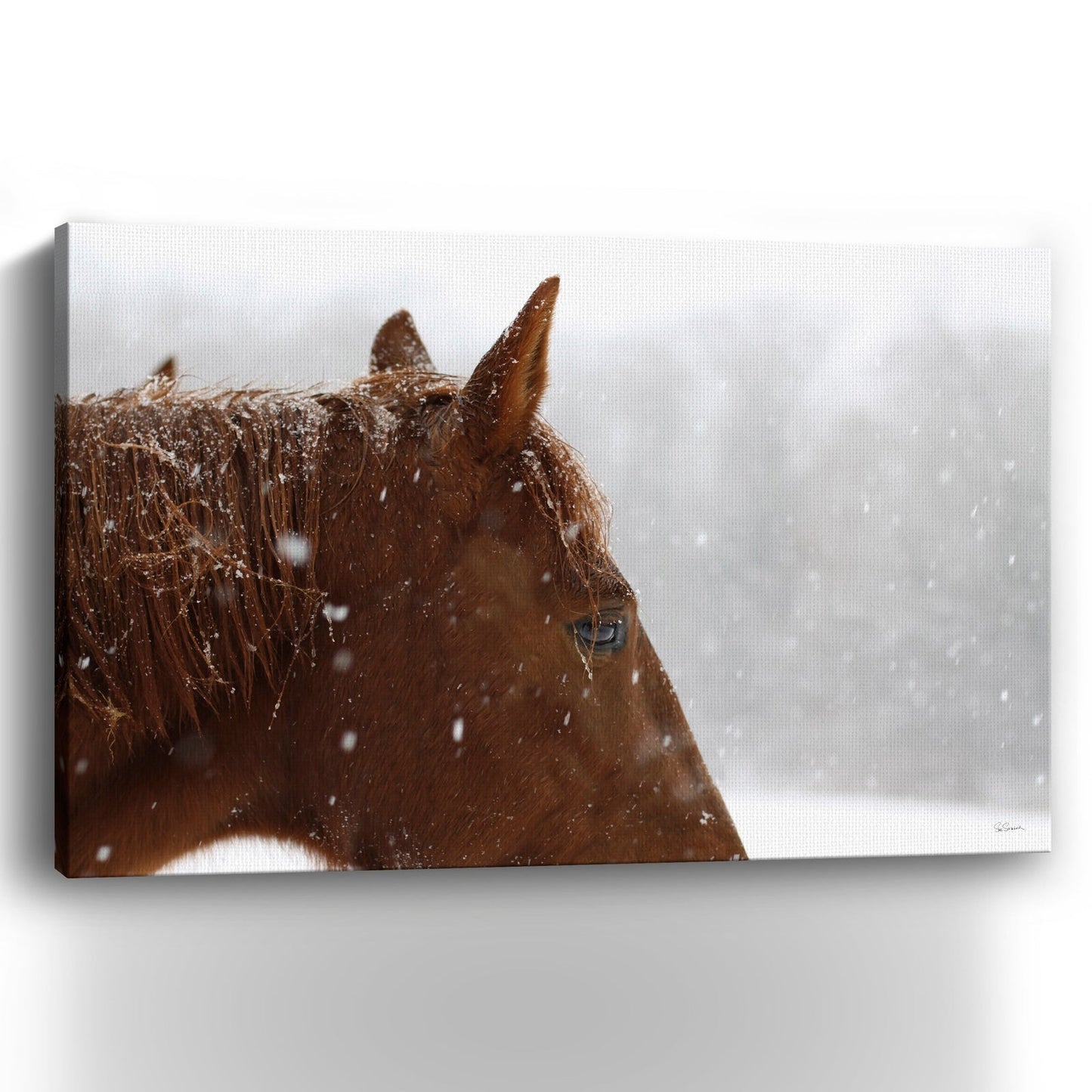 Snowy Caleb Giclee Canvas Wall Art