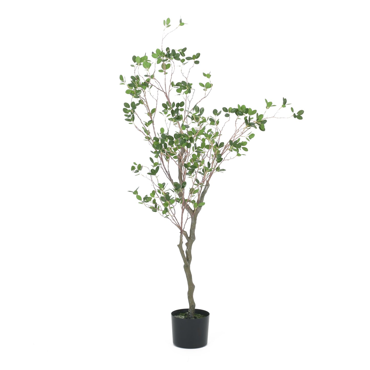 Veracity Artificial Milan Leaves Bonsai