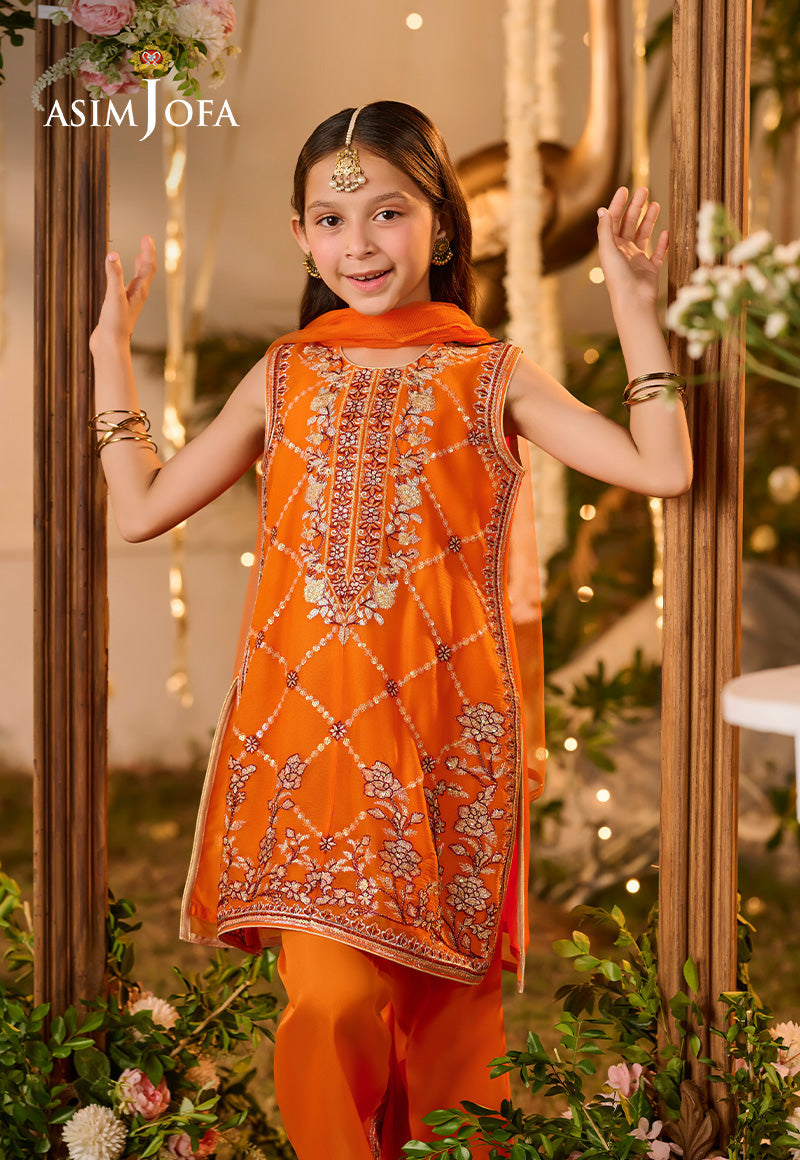 AJLK-06 EMBROIDERED POLY CHIFFON 3 PCS