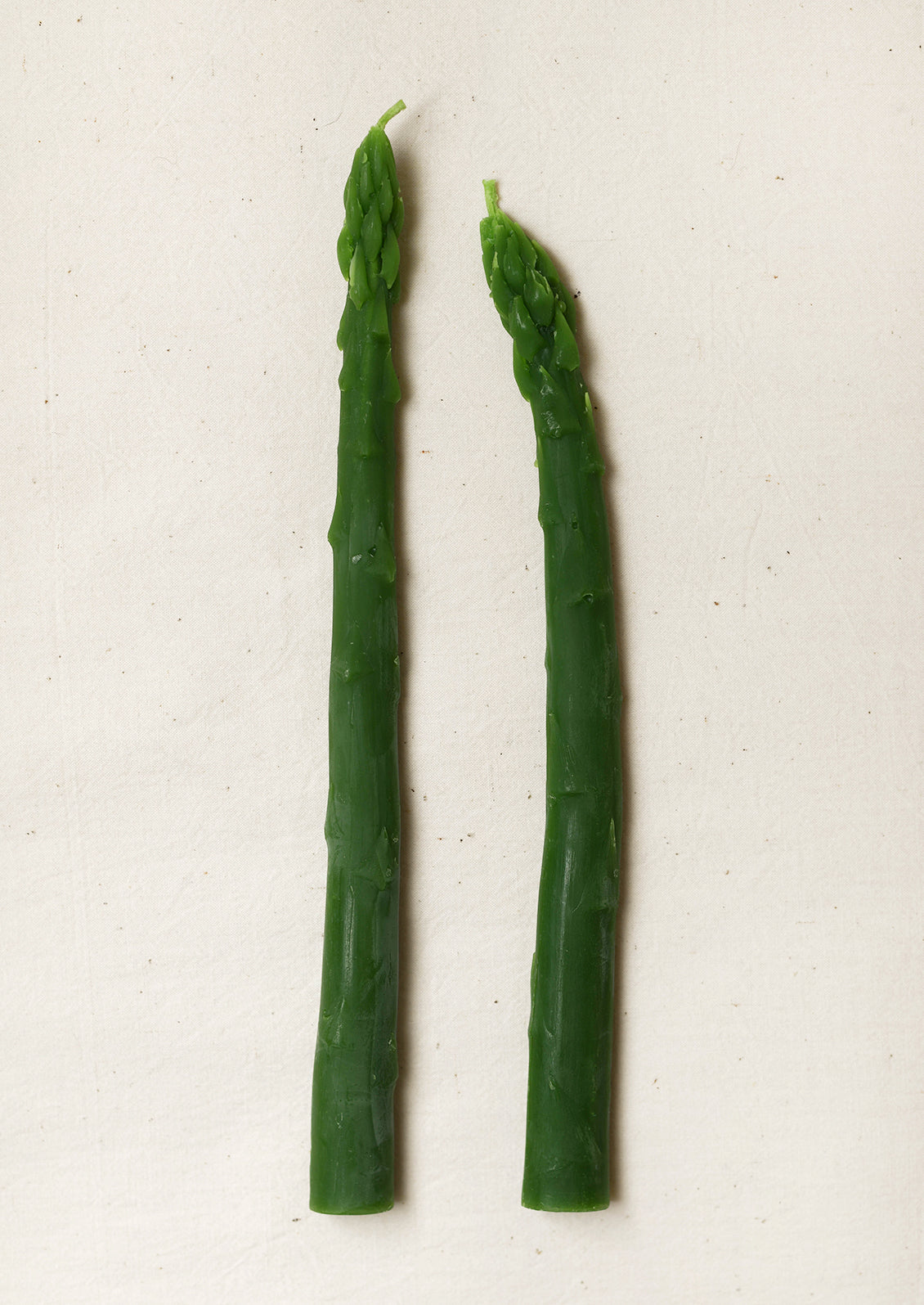 Asparagus Beeswax Taper Candles