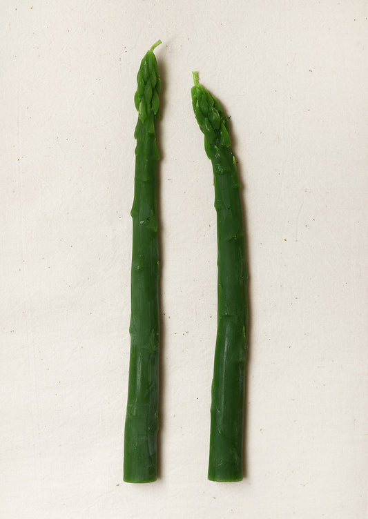 Asparagus Beeswax Taper Candles