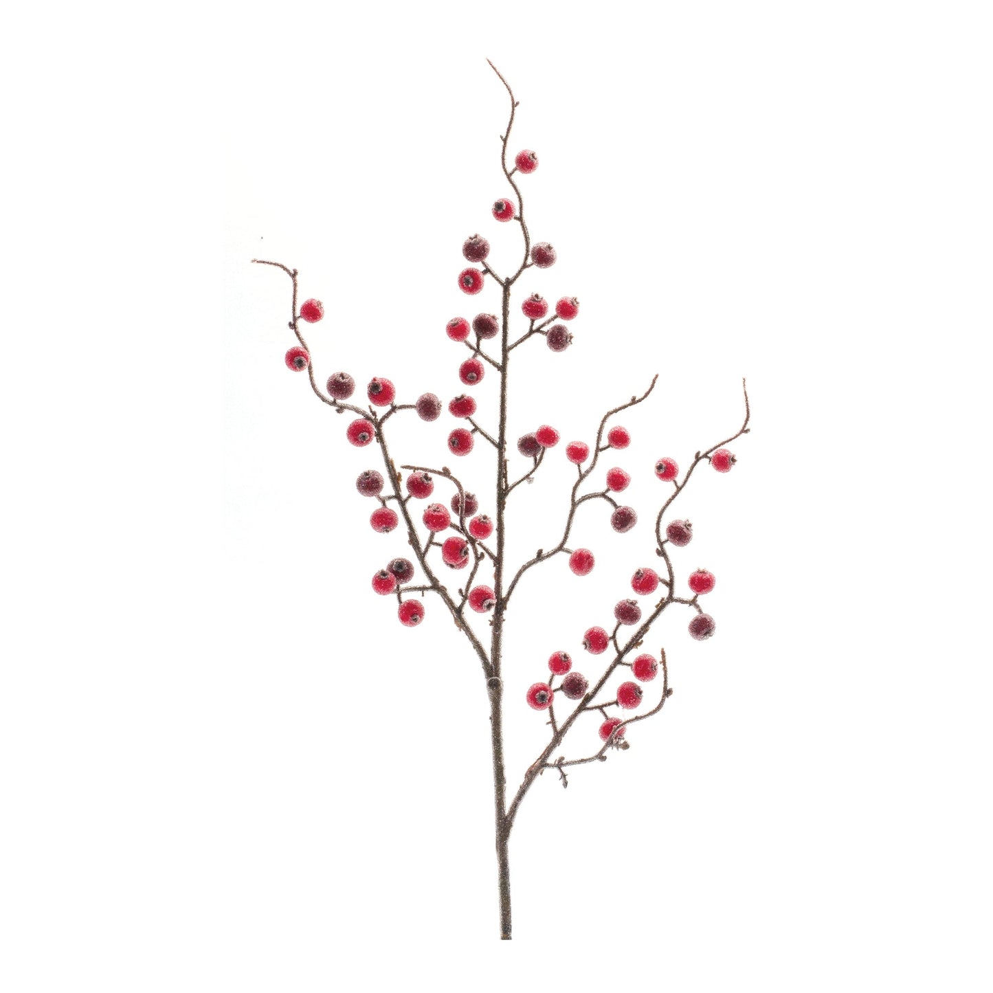 Iced Berry Twig Spray, Set of 12