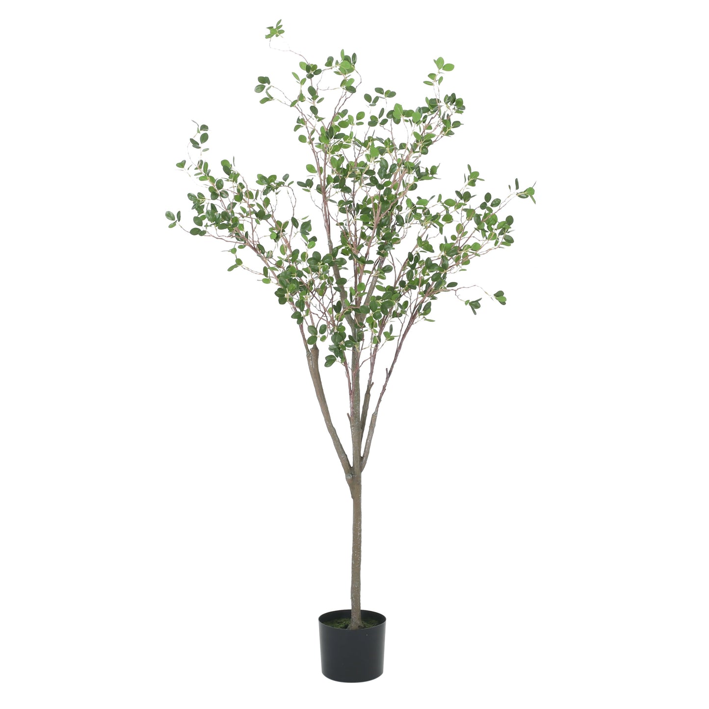 Veracity Artificial Milan Leaves Bonsai
