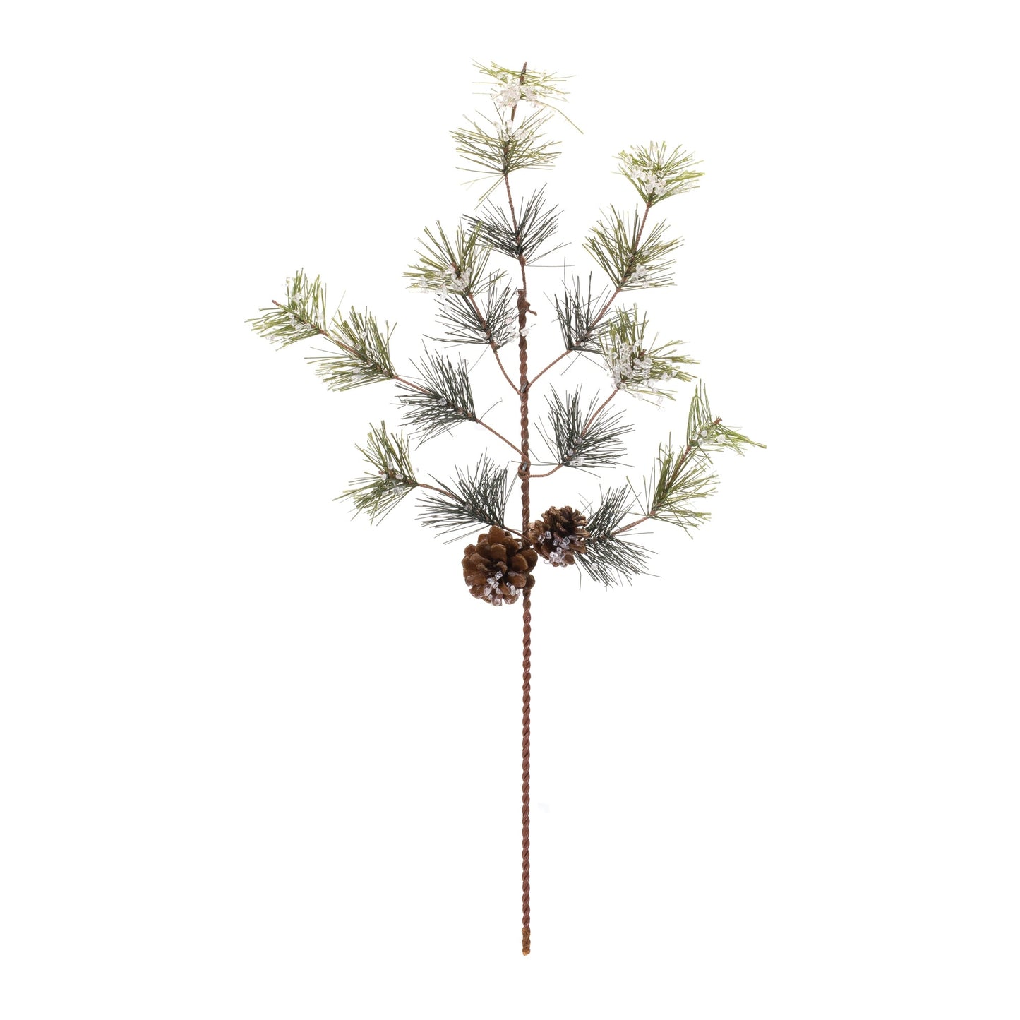 Pine Spray, Set of 6