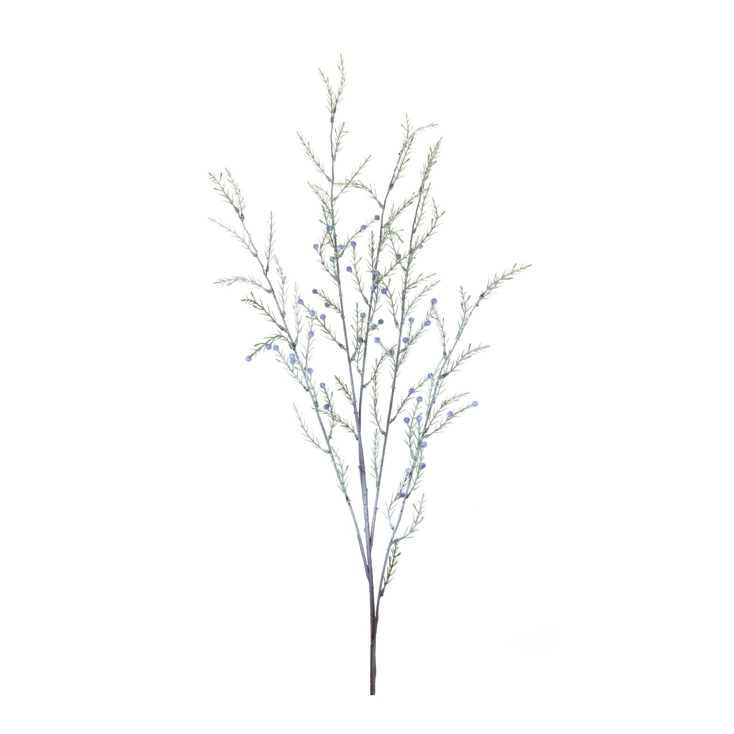 Pine Branch, Set of 12