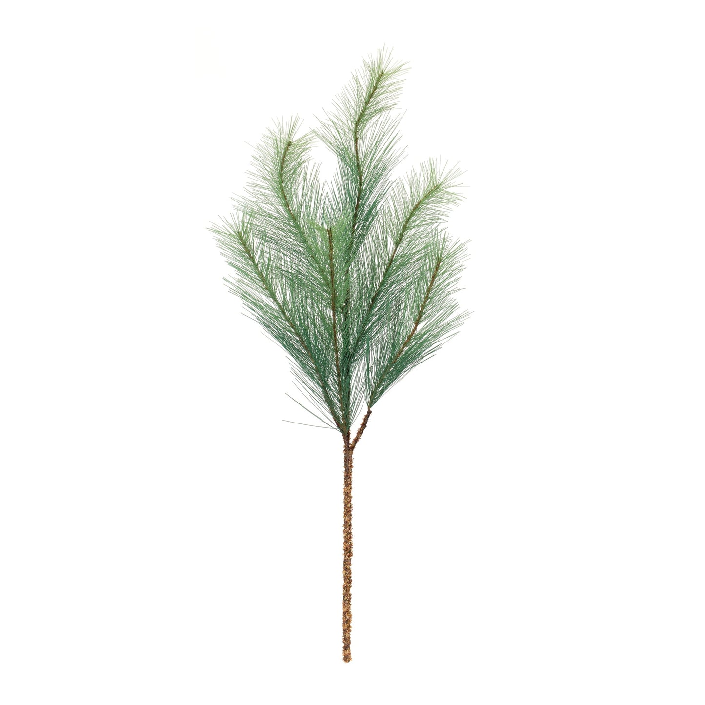 Long Needle Pine Spray, Set of 6