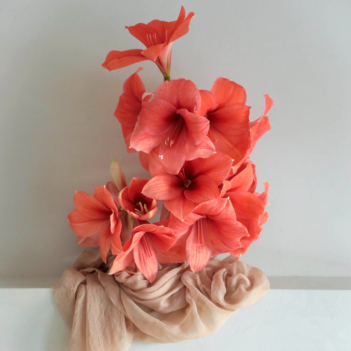 Styling Silks / Plant Dyed Sunset Collection