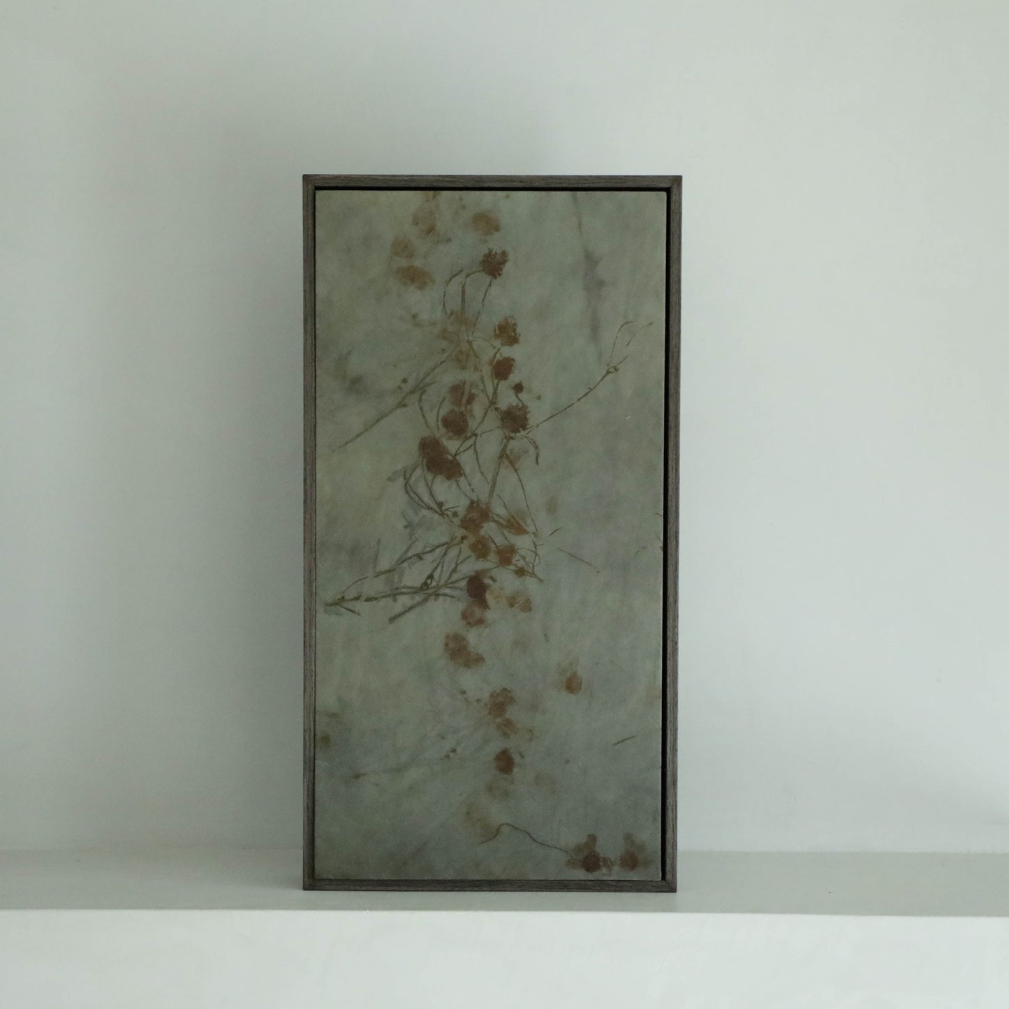 Framed Botanical Art Coreopsis No. 071