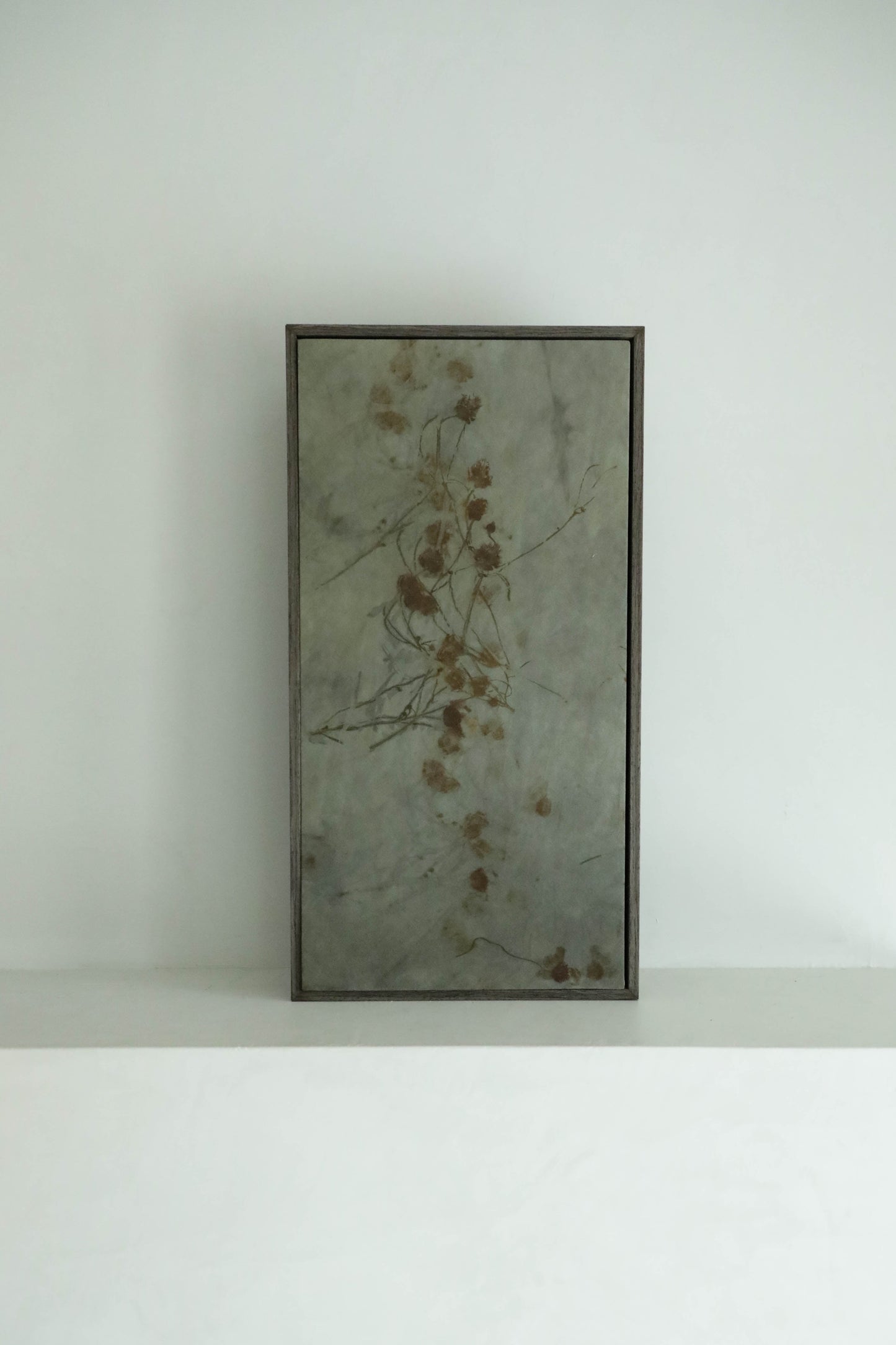 Framed Botanical Art Coreopsis No. 071