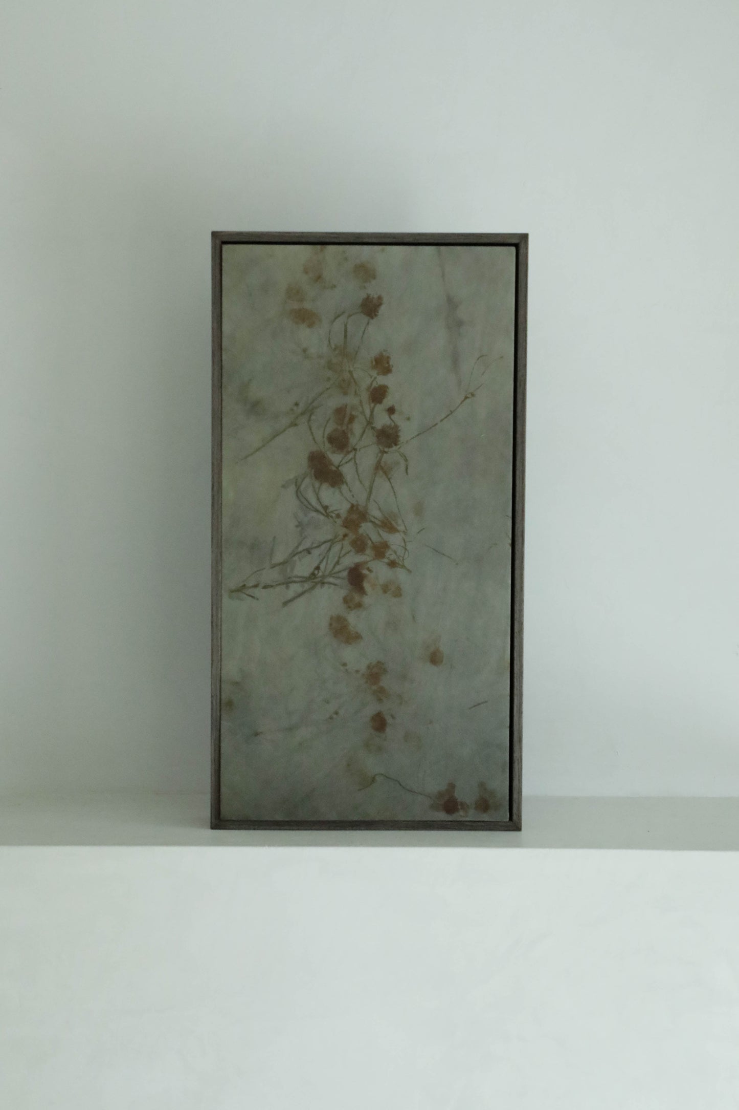 Framed Botanical Art Coreopsis No. 071