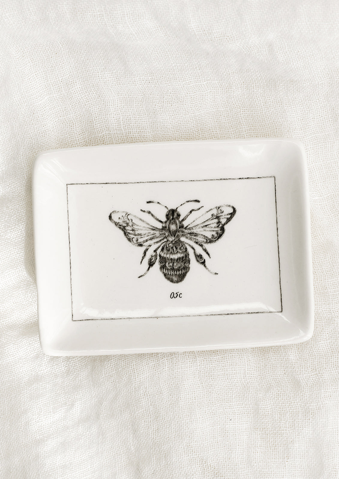 Entomology Trinket Dish