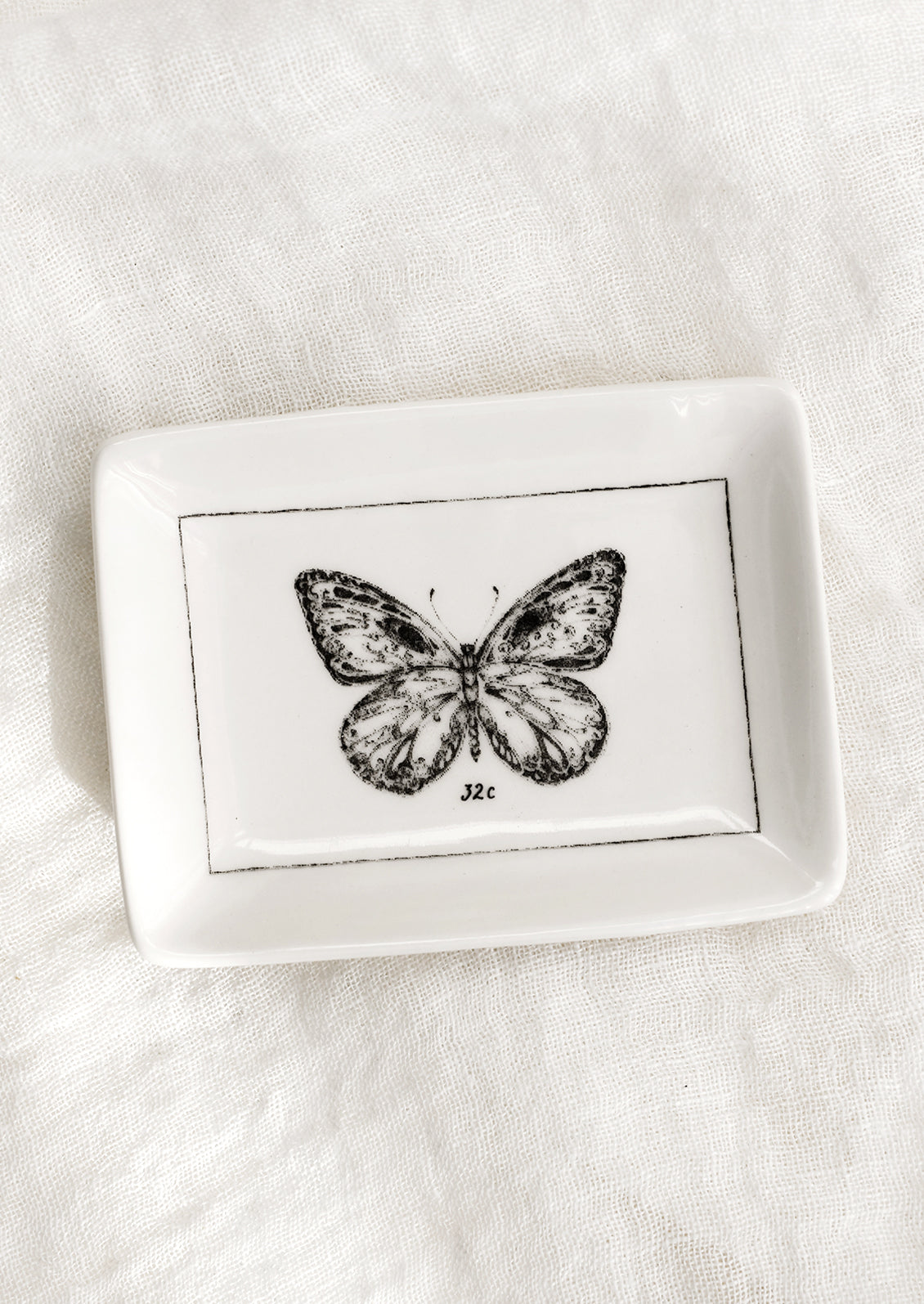 Entomology Trinket Dish
