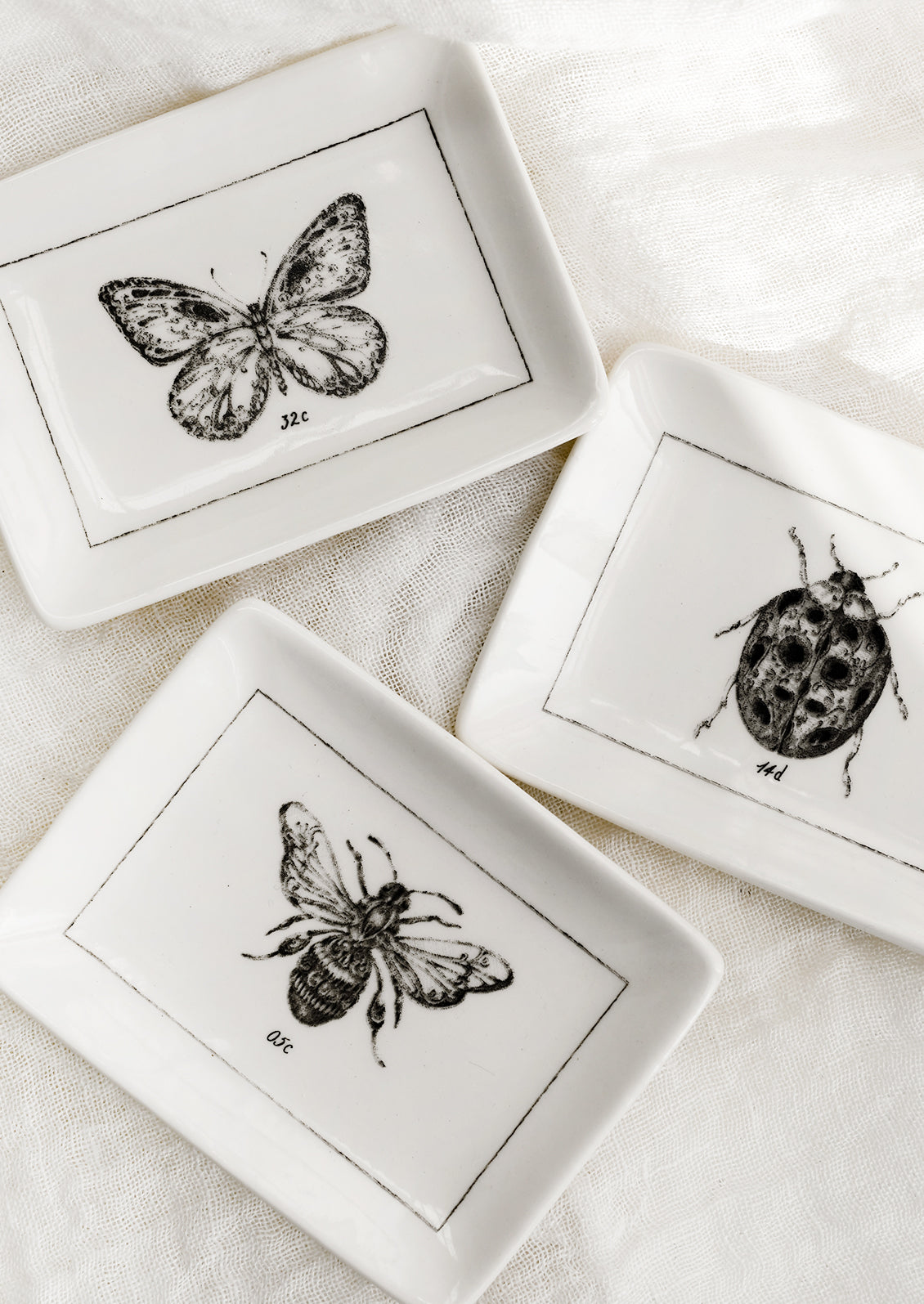 Entomology Trinket Dish
