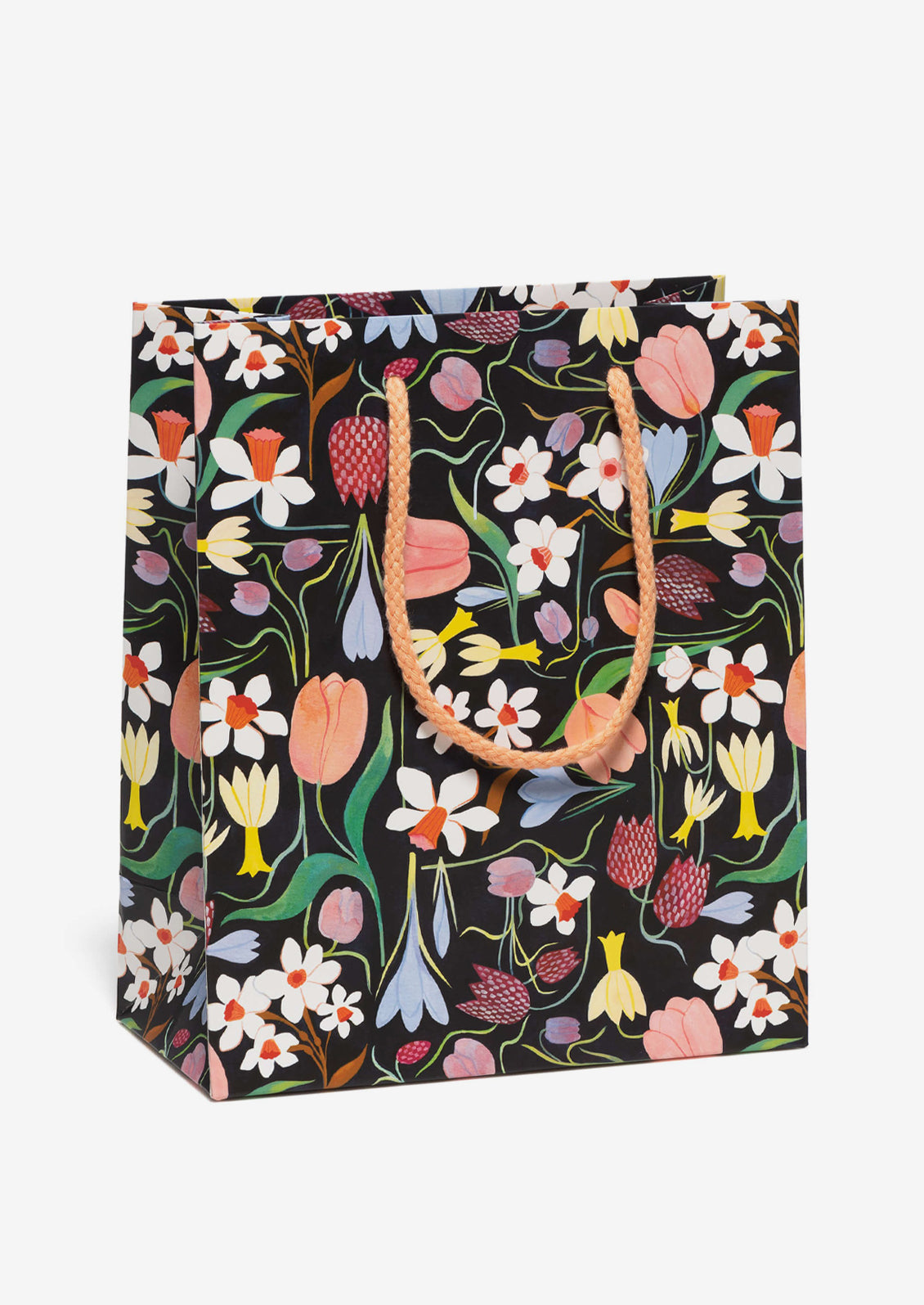 Medium Printed Gift Bag
