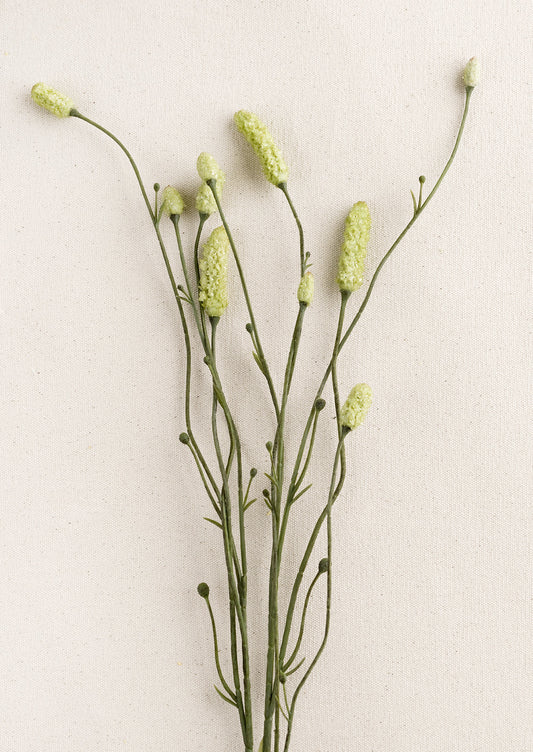 Faux Burnet Spray
