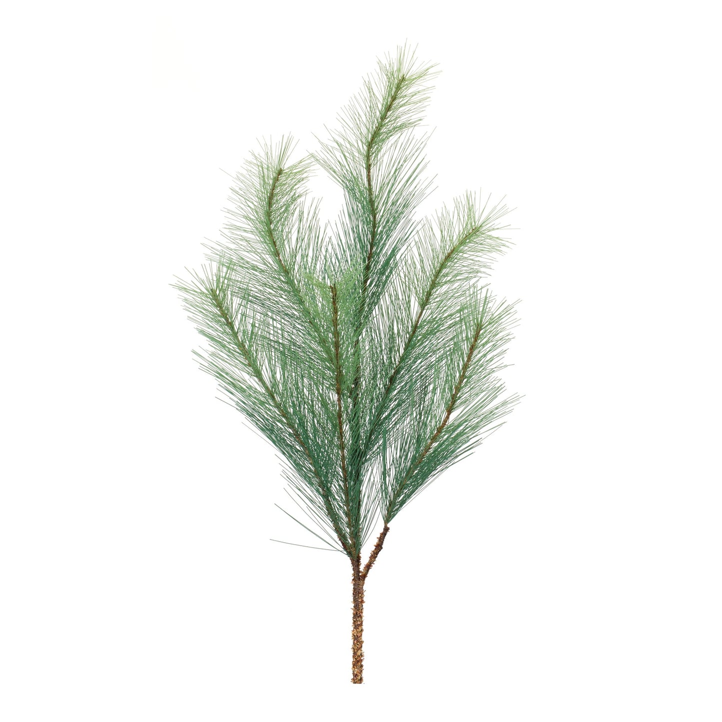 Long Needle Pine Spray, Set of 6