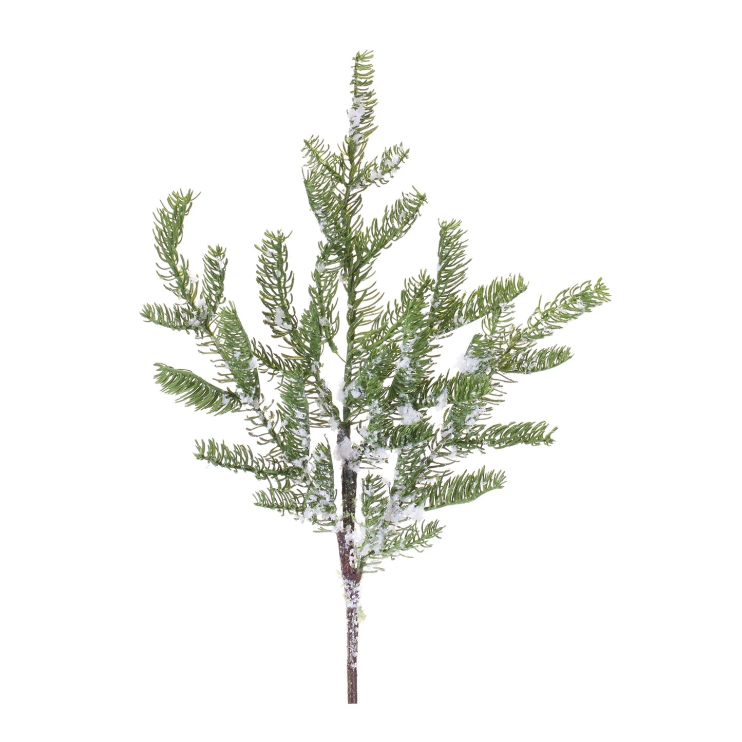 Pine Spray, Set of 2
