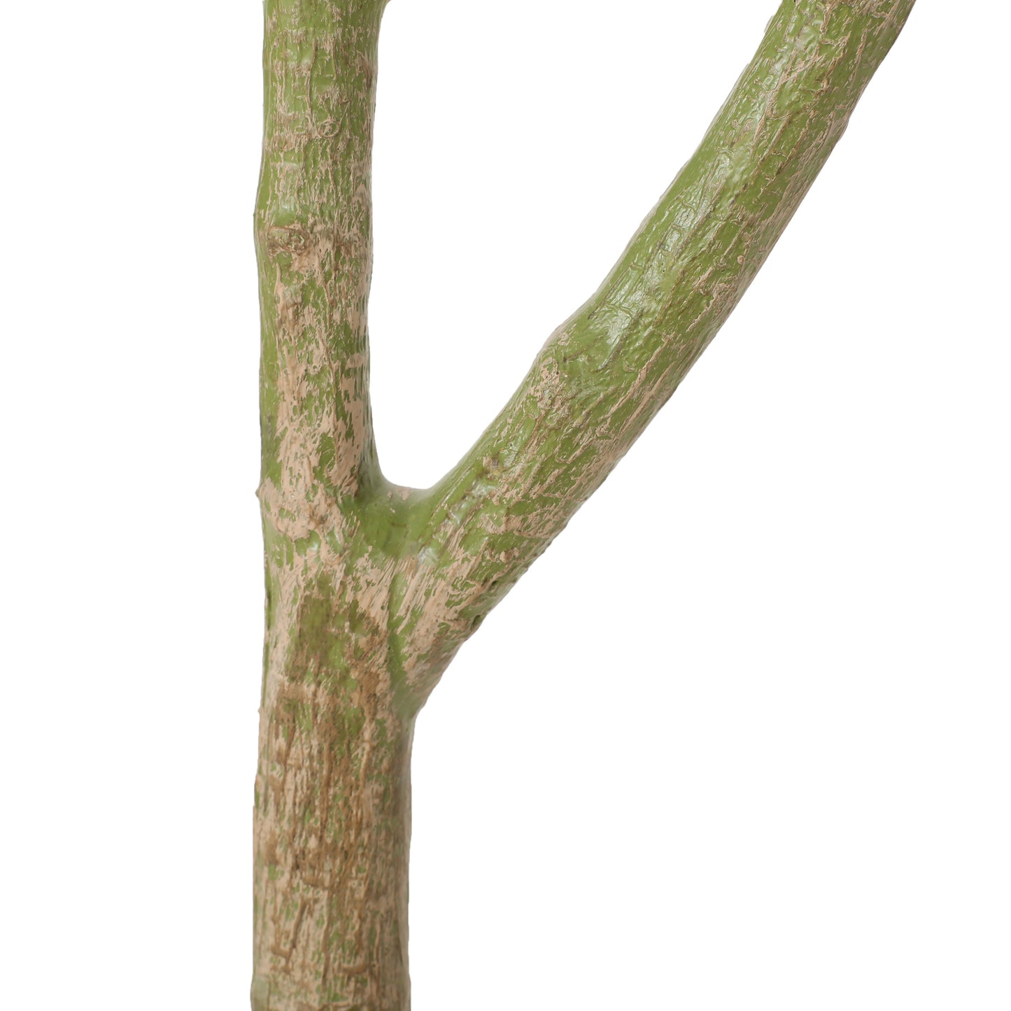 Warmness Artificial Pachira Macrocarpa