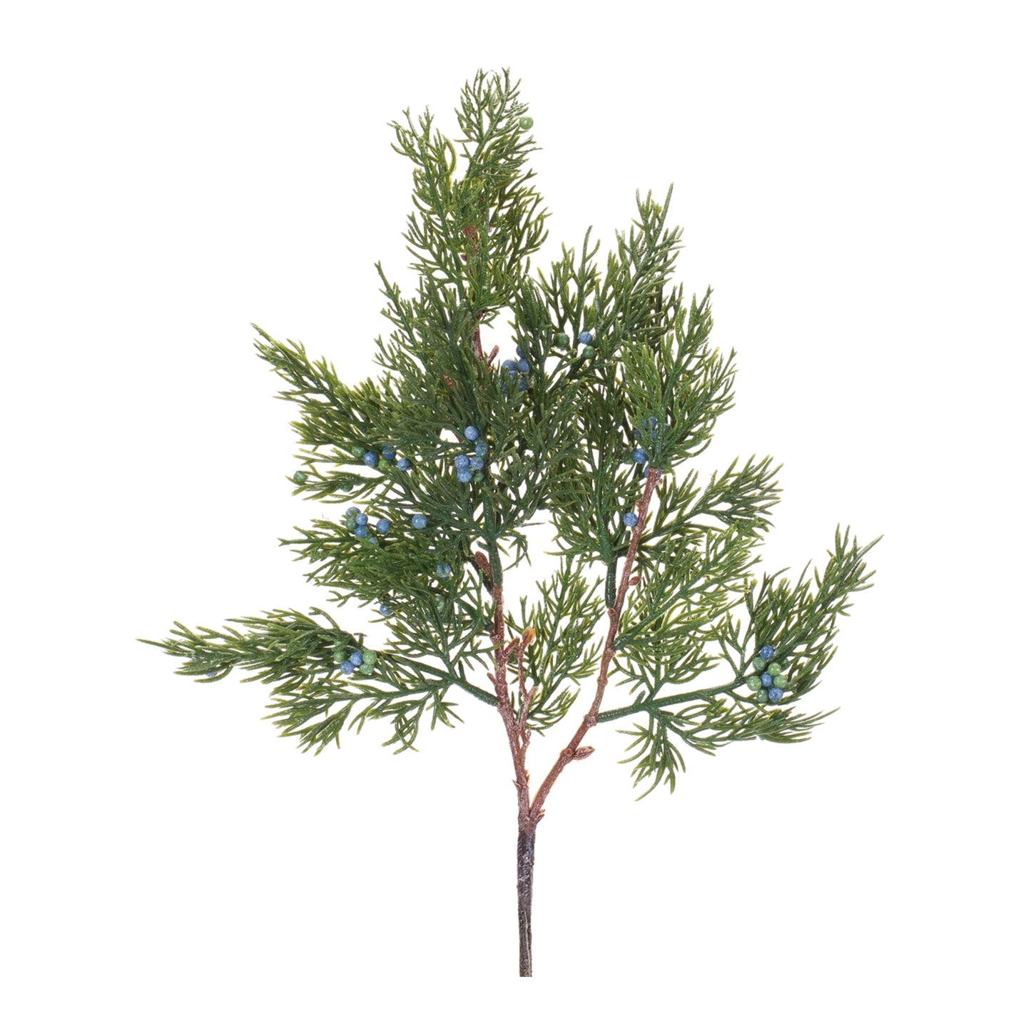 Pine Spray, Set of 12
