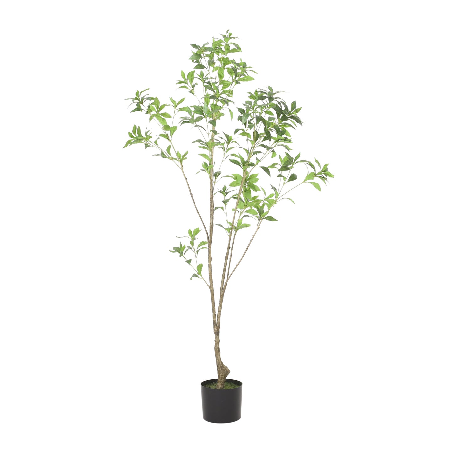 Artificial Pieris Tree
