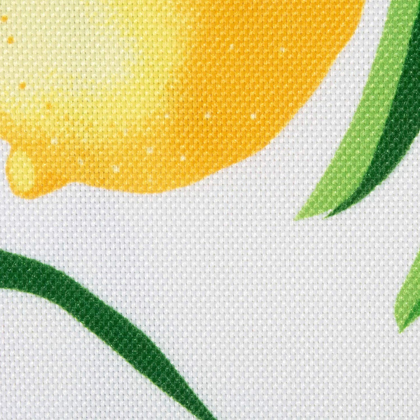 Lemon Bliss Print Outdoor  Placemat, Set Of 6