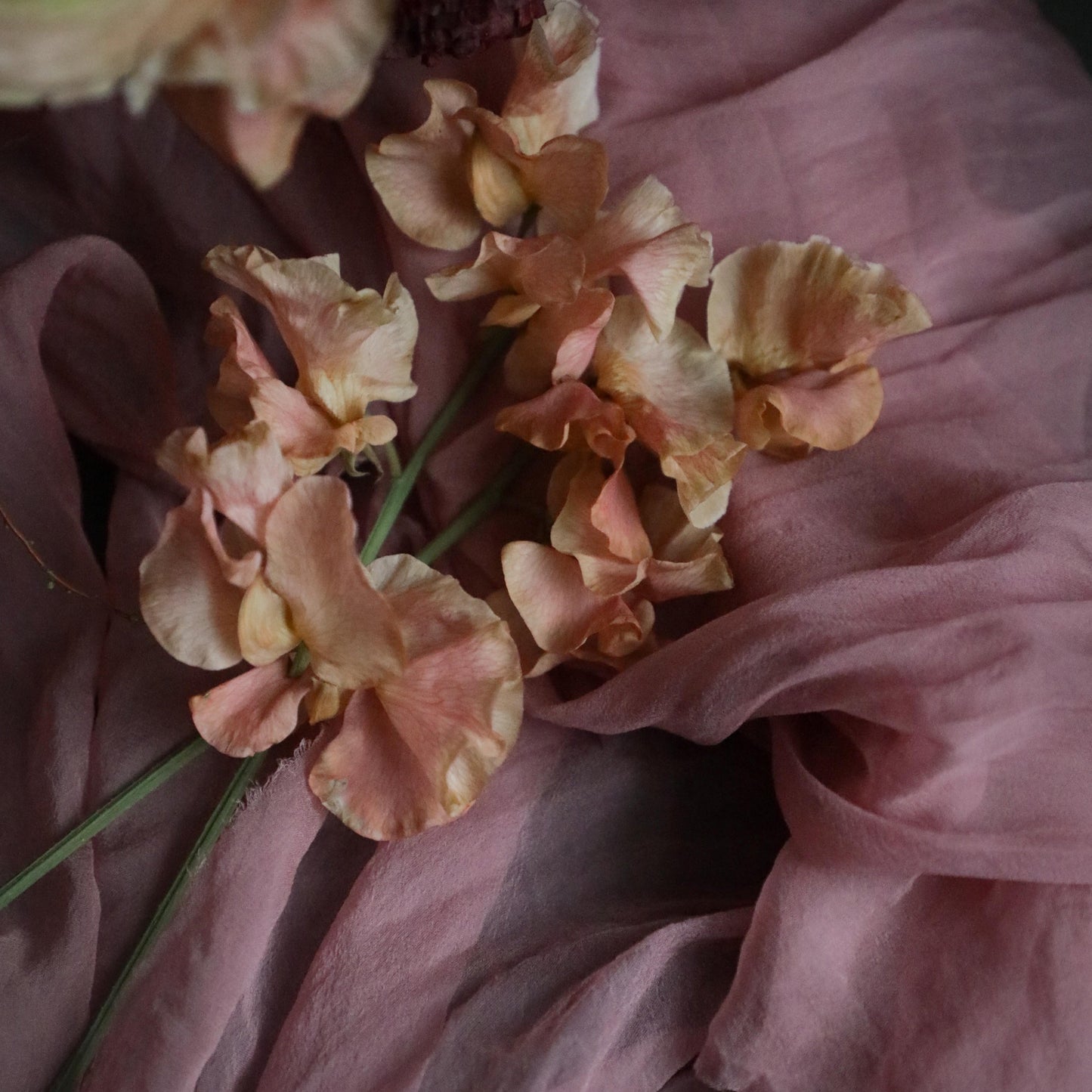 Rose Petal Pink {Sheer Silk Runner}
