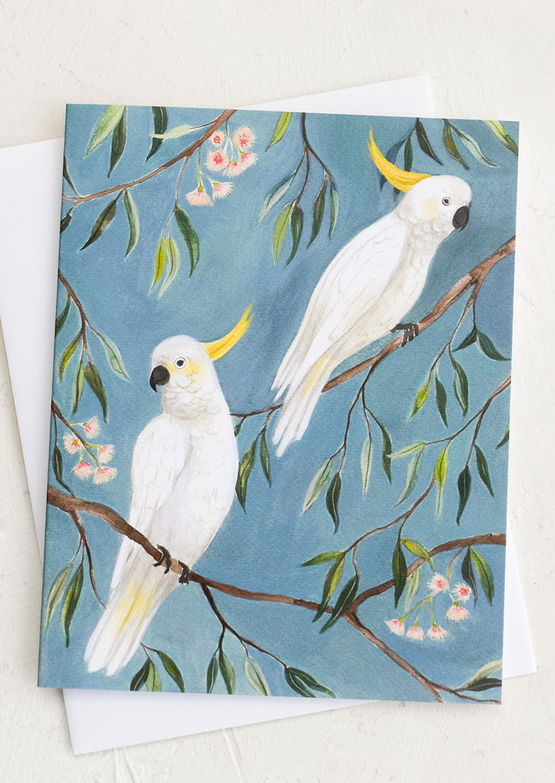 Cockatoos Blank Card