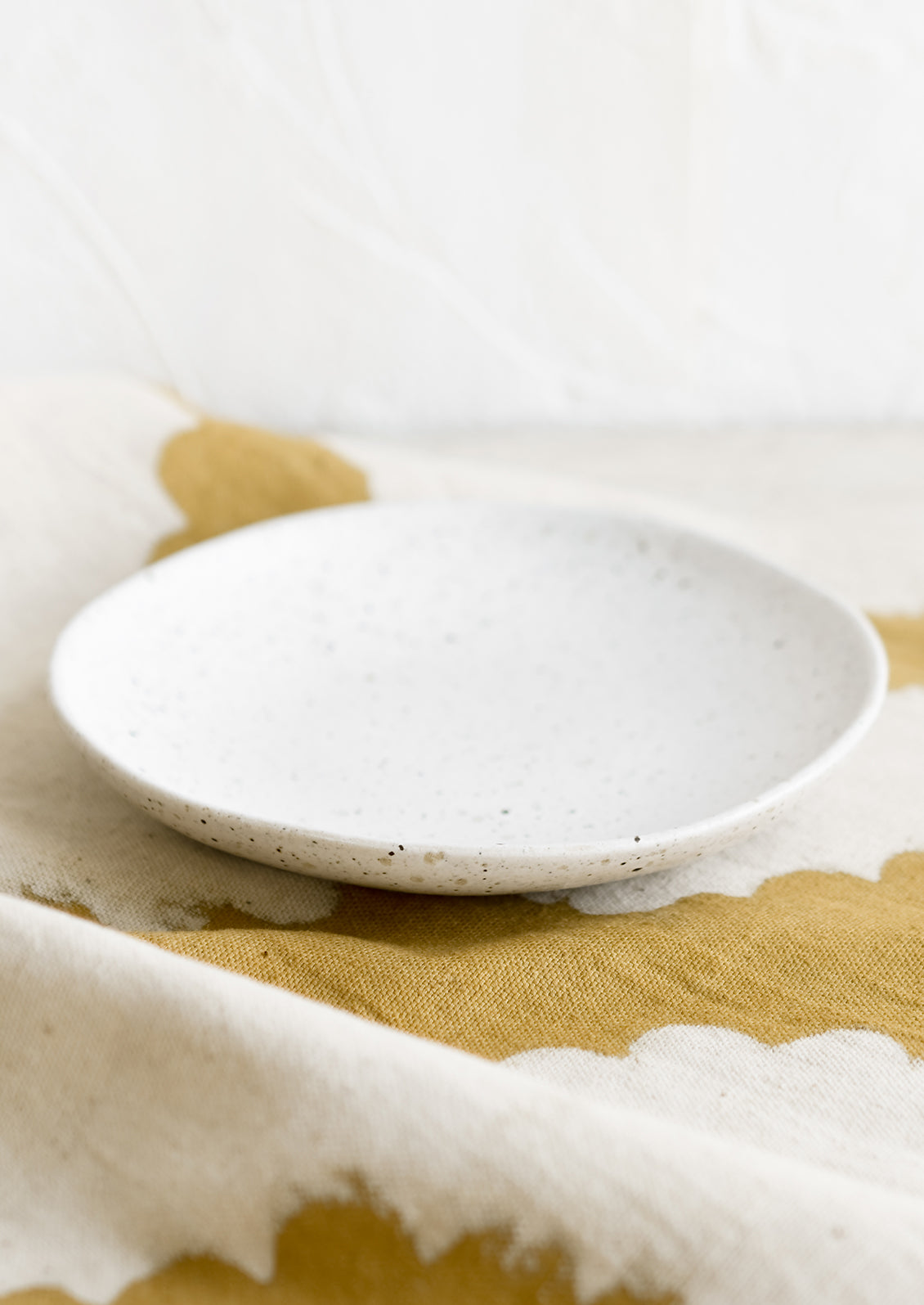Constellation Speckle Ceramic Plate