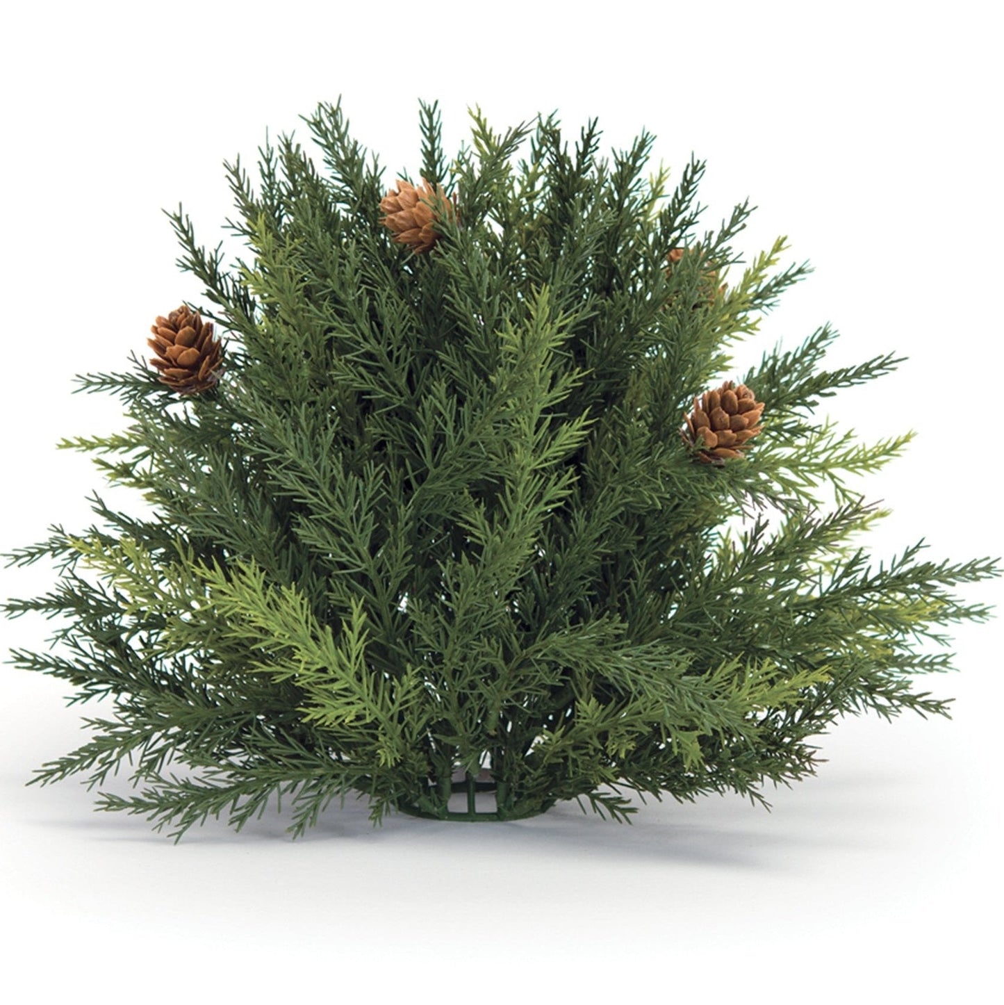 Arborvitae Half Orb 8.5"