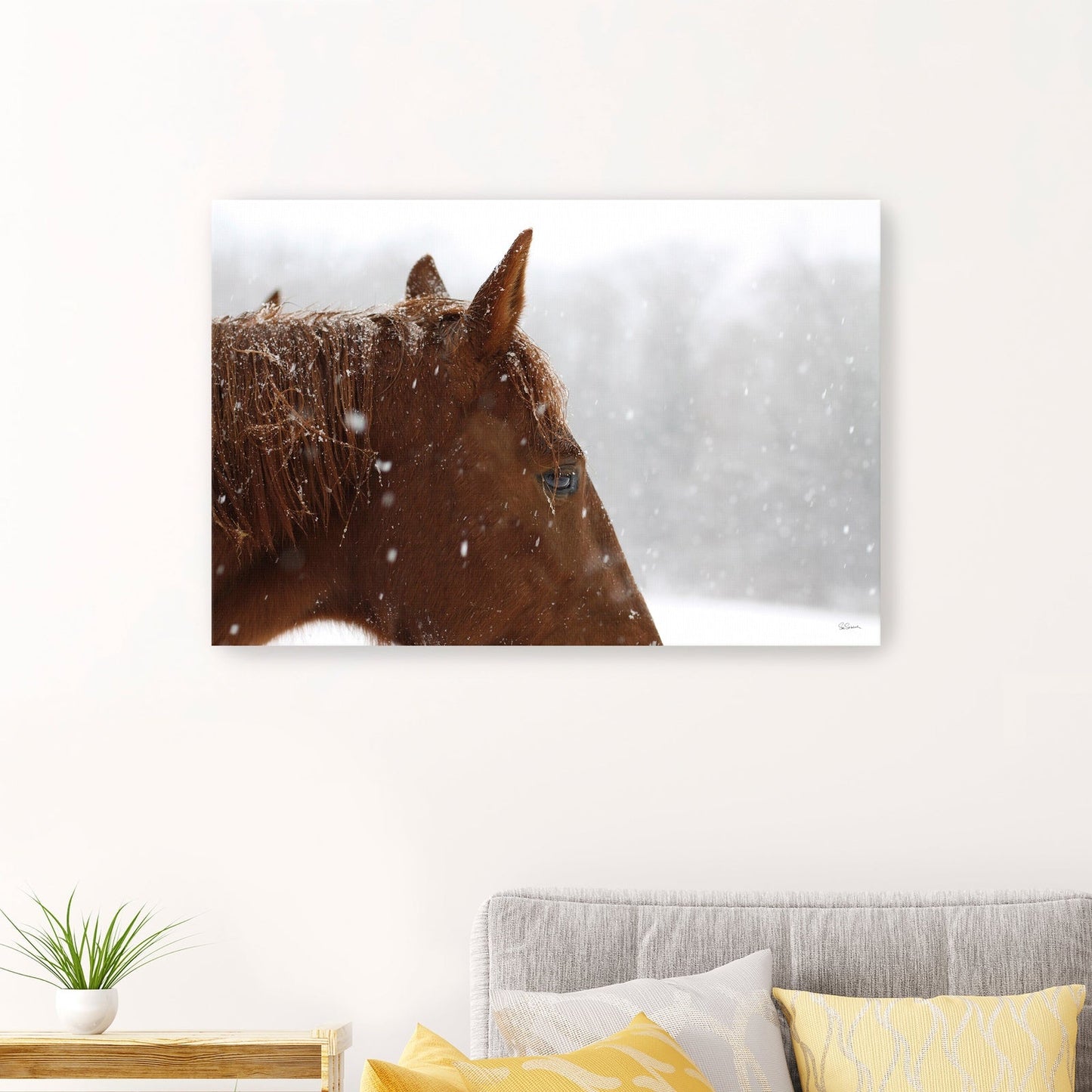 Snowy Caleb Giclee Canvas Wall Art