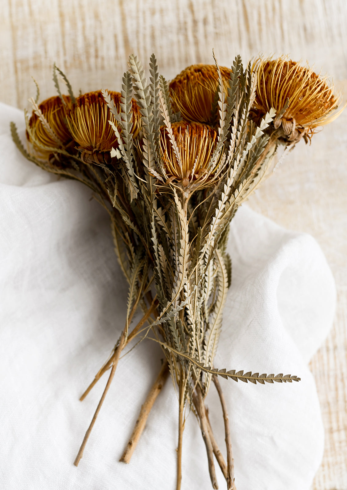 Dried Mini Protea Stem