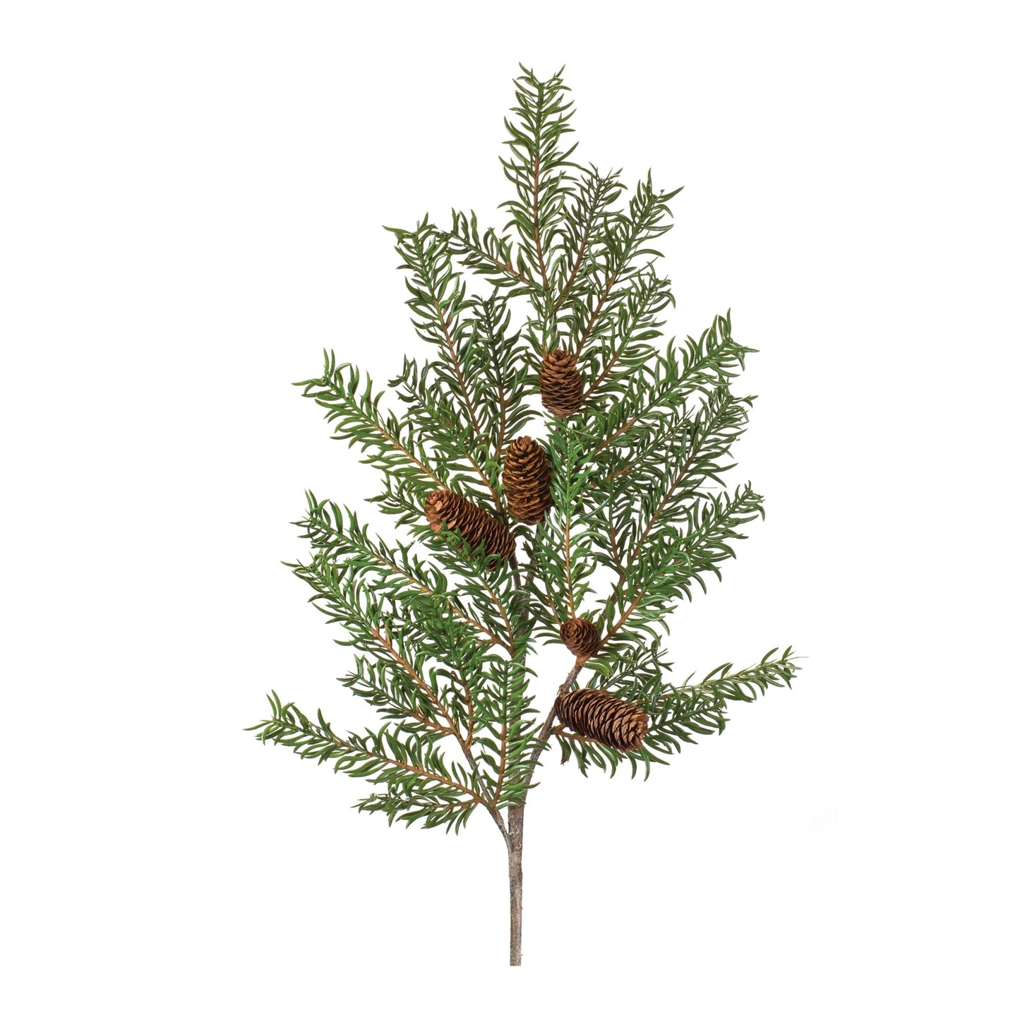 Pine Spray, Set of 2