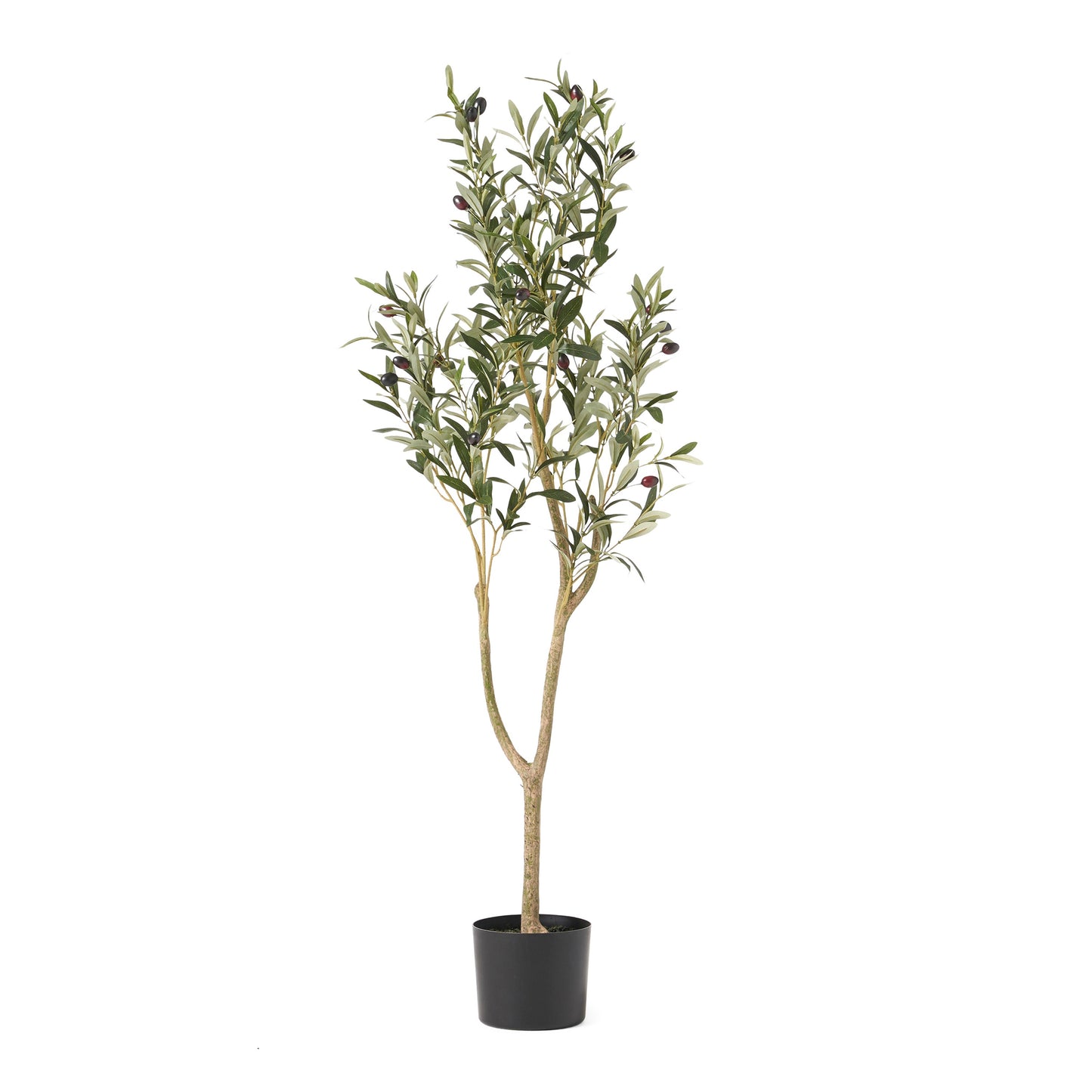 Vortexed Artificial Olive Tree