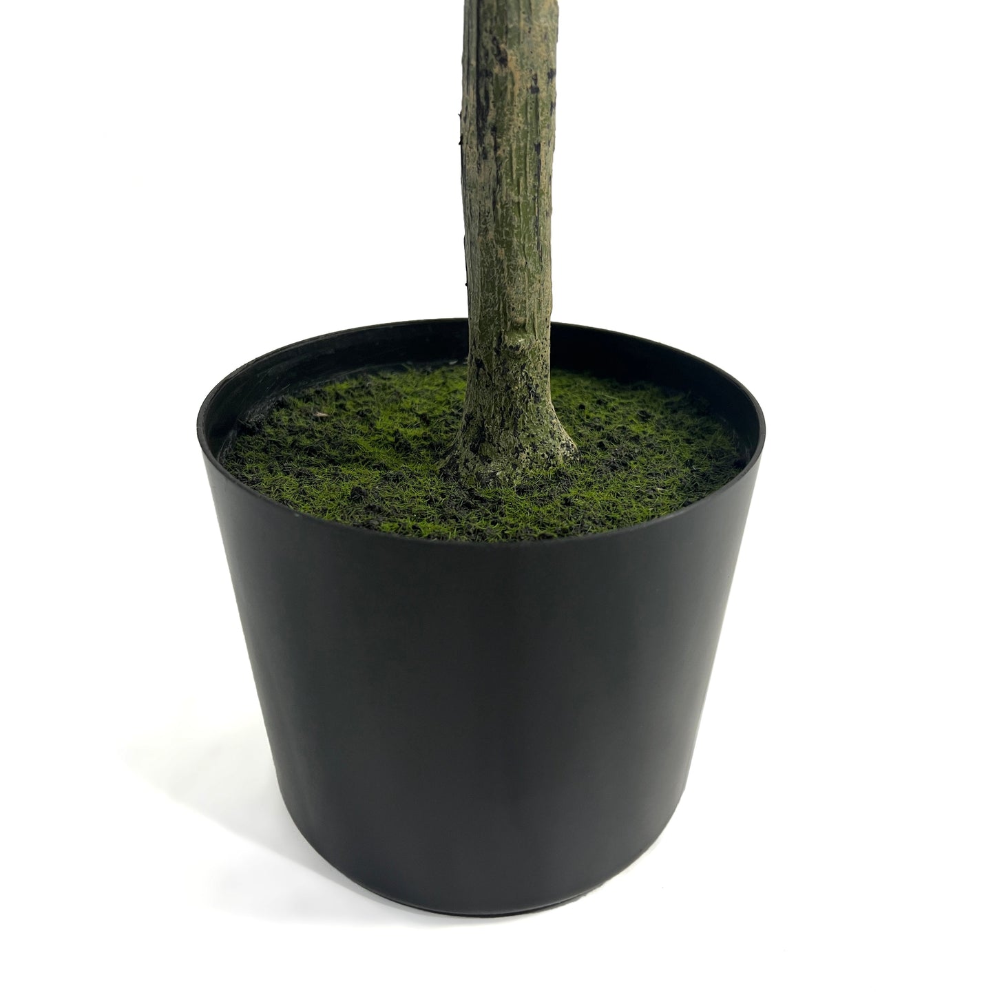 Vortexed Artificial Olive Tree