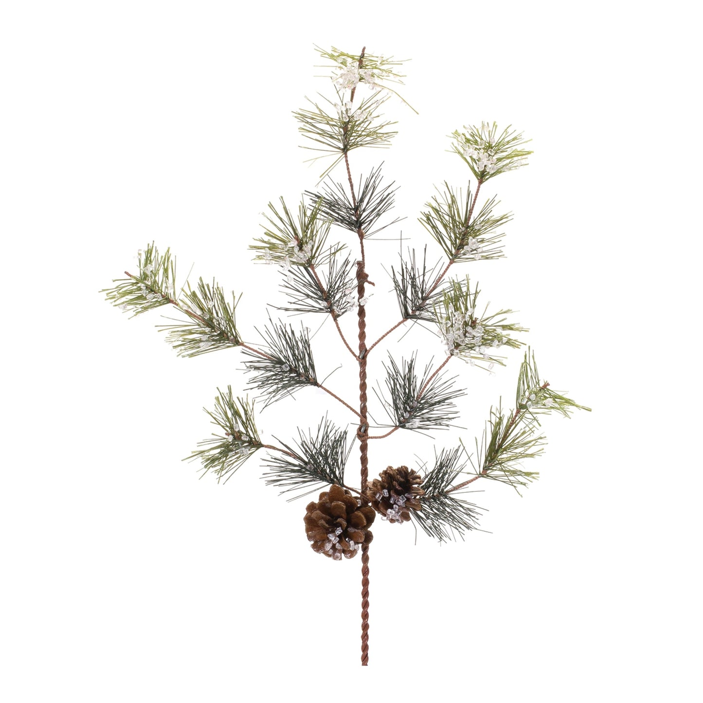 Pine Spray, Set of 6