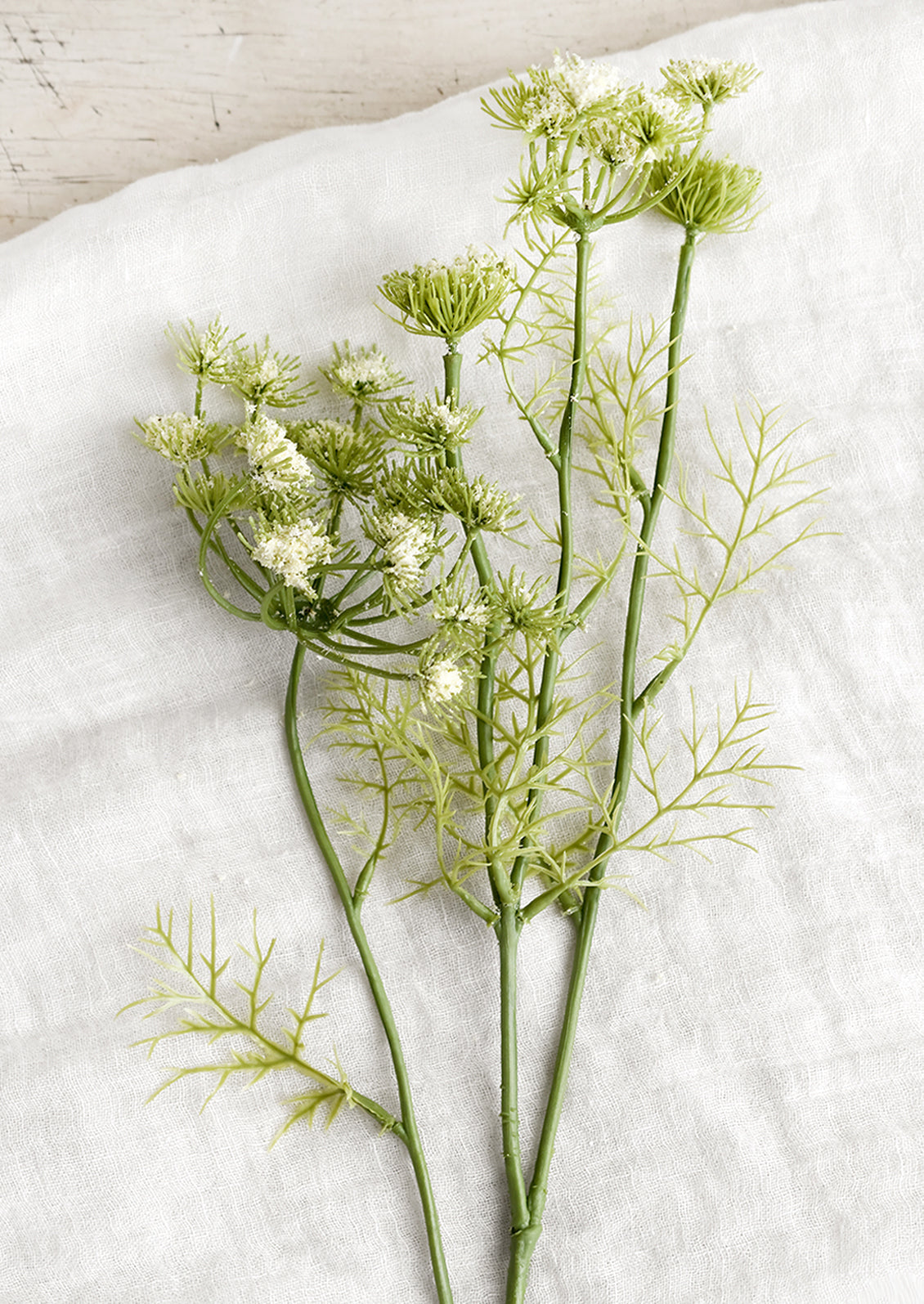 Faux Queen Anne's Lace Bundle