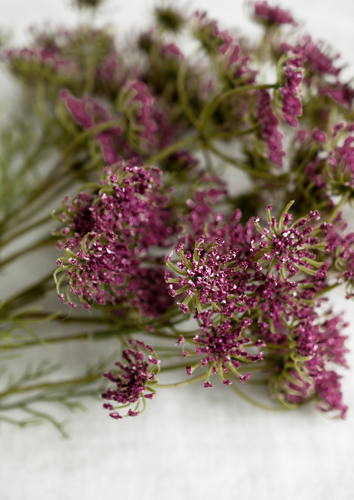 Faux Queen Anne's Lace Bundle