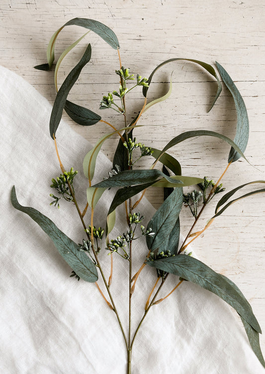 Faux Seeded Eucalyptus Stem