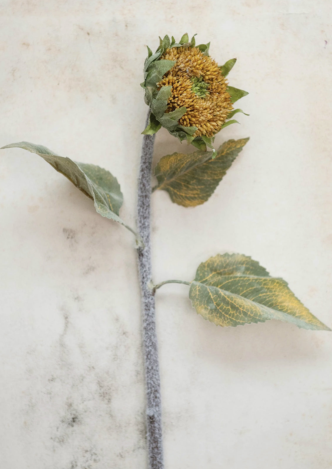 Faux Sunflower Stem