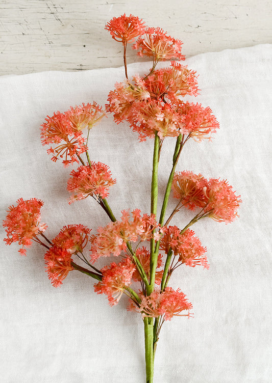 Faux Valerian Stem