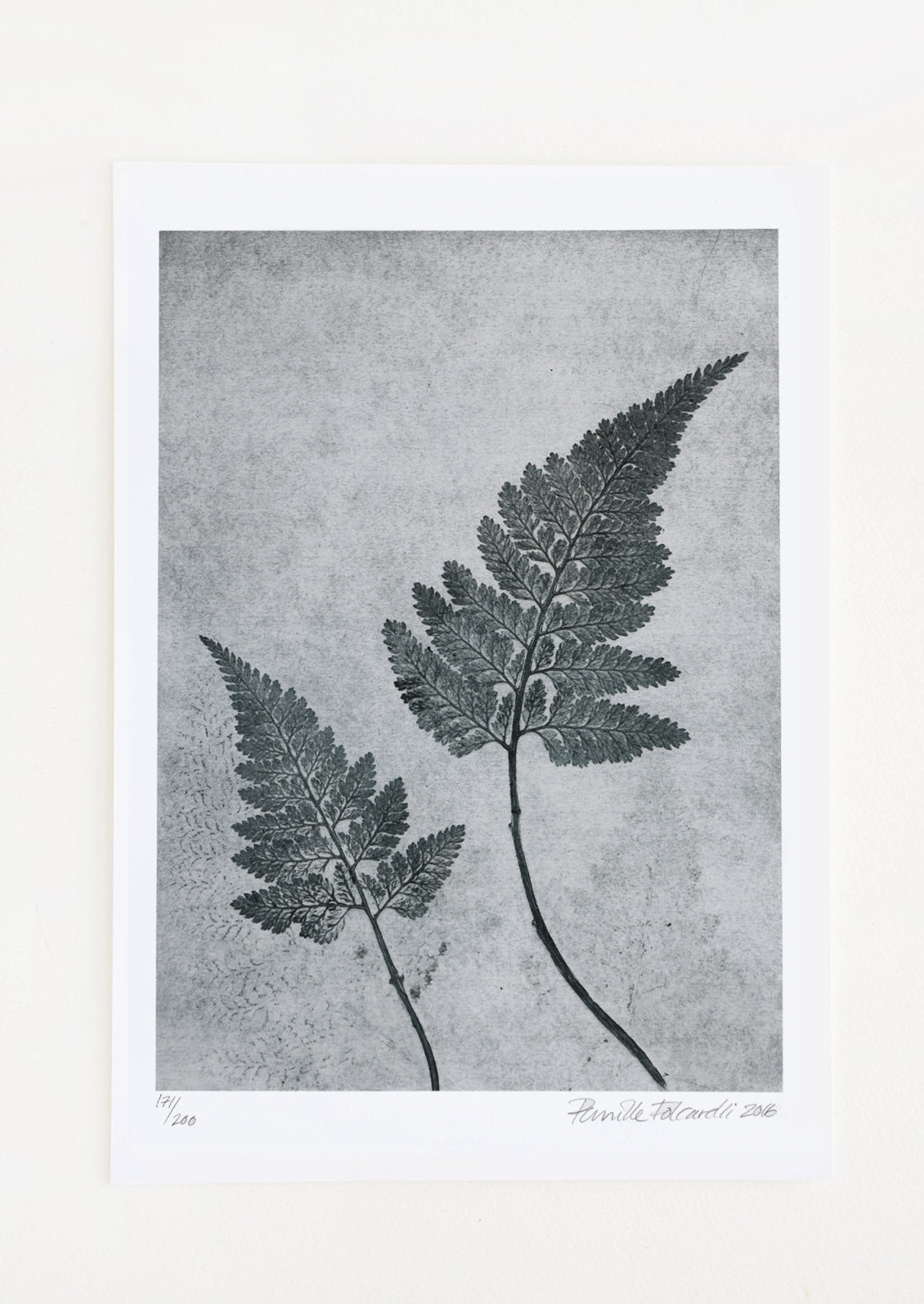 Fern in Dusty Blue Print