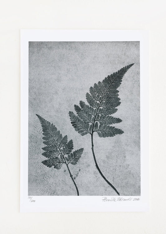 Fern in Dusty Blue Print