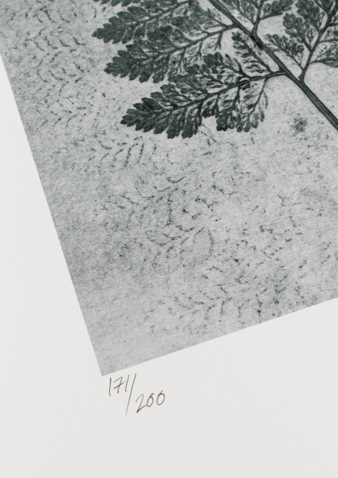 Fern in Dusty Blue Print